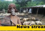 Дали фирмата която взима пробите за животните е изрядна