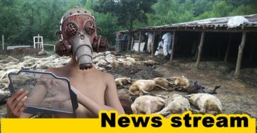 Дали фирмата която взима пробите за животните е изрядна